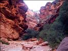 The "road" into Havasu Canyon